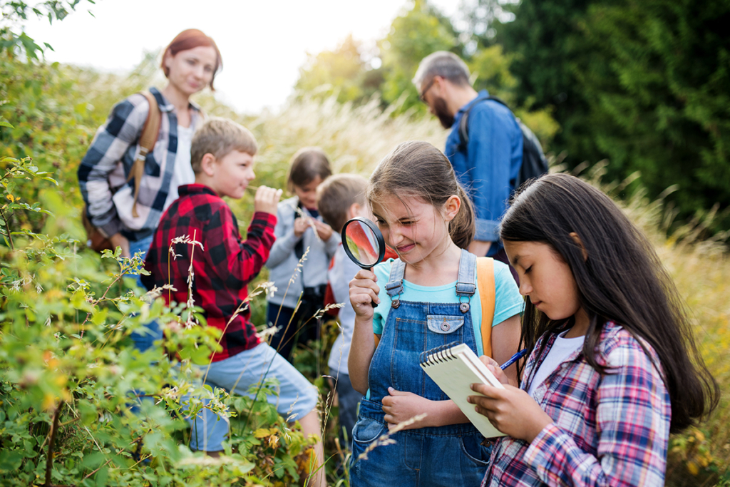 Hands-On Experiences For Exploration & Discovery